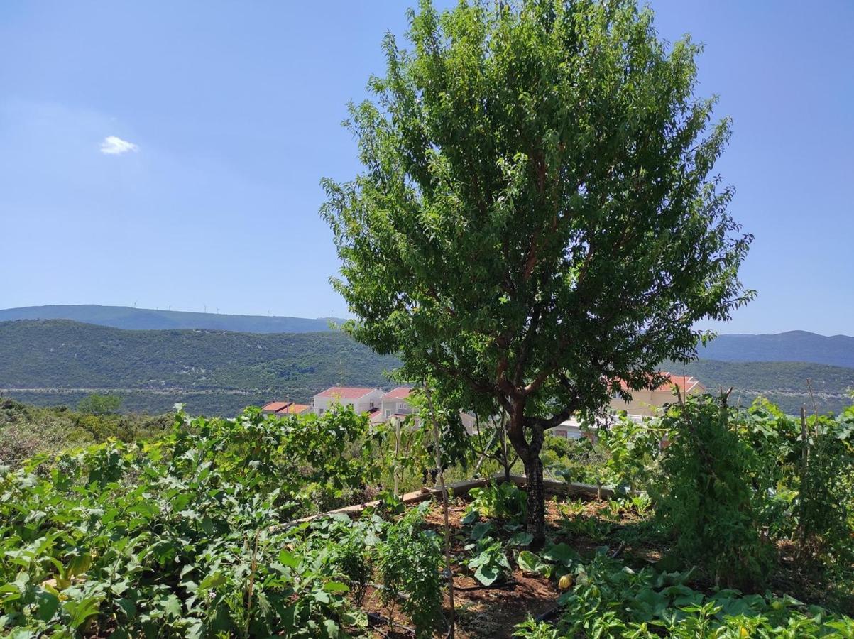One Bedroom Apartment Gogo With Private Parking Neum Luaran gambar